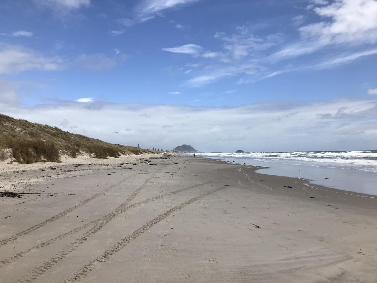 Unit By The Beach Lägenhet Mount Maunganui Exteriör bild